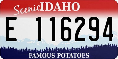 ID license plate E116294