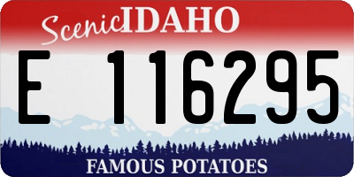 ID license plate E116295