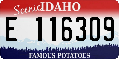 ID license plate E116309