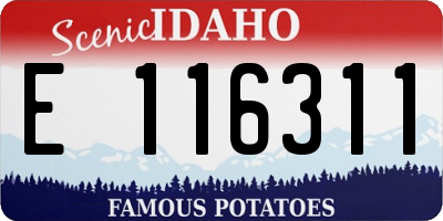 ID license plate E116311