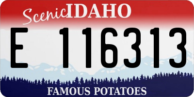ID license plate E116313