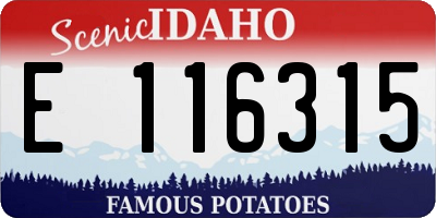 ID license plate E116315