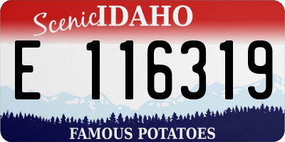 ID license plate E116319