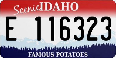 ID license plate E116323