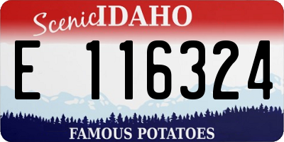 ID license plate E116324