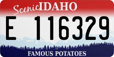 ID license plate E116329