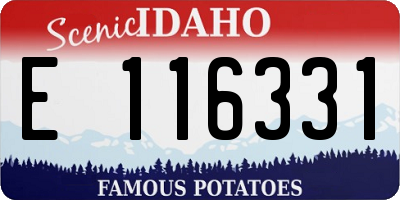 ID license plate E116331