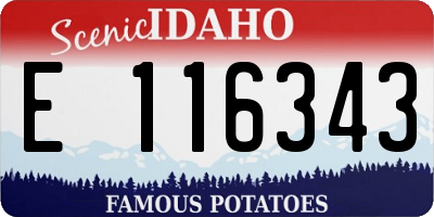ID license plate E116343