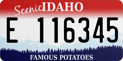 ID license plate E116345