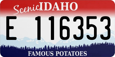 ID license plate E116353