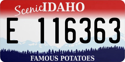 ID license plate E116363