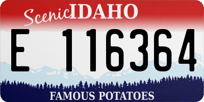 ID license plate E116364