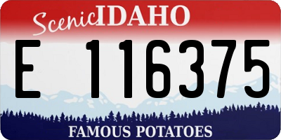 ID license plate E116375