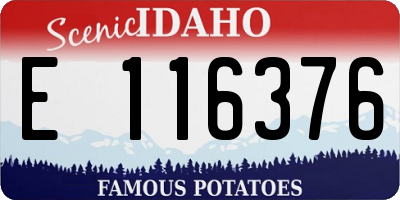 ID license plate E116376