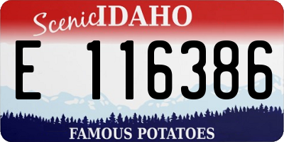 ID license plate E116386