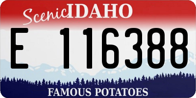 ID license plate E116388