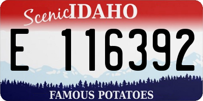 ID license plate E116392