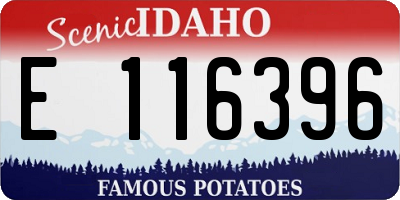 ID license plate E116396