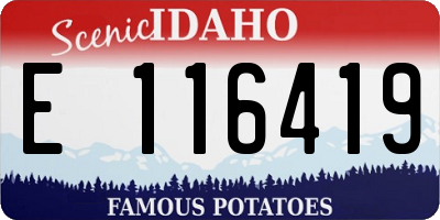ID license plate E116419