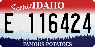 ID license plate E116424