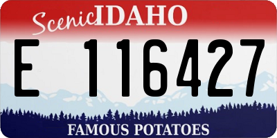 ID license plate E116427