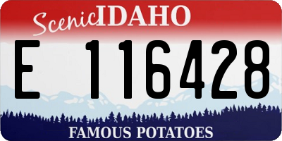 ID license plate E116428