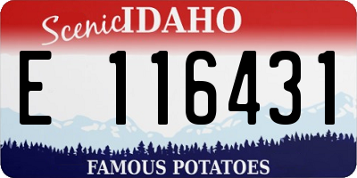 ID license plate E116431