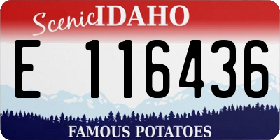 ID license plate E116436