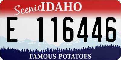 ID license plate E116446