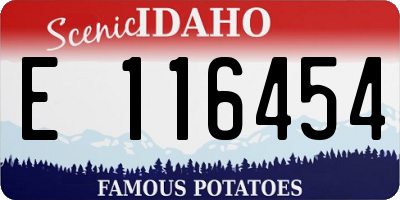 ID license plate E116454