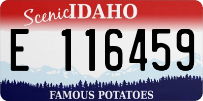 ID license plate E116459