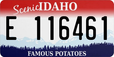 ID license plate E116461