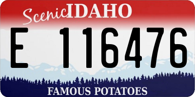 ID license plate E116476