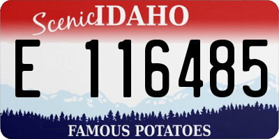ID license plate E116485