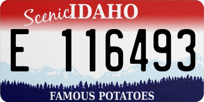 ID license plate E116493