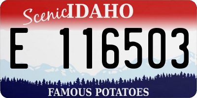 ID license plate E116503