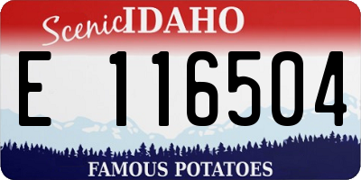ID license plate E116504