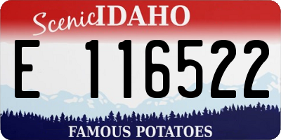 ID license plate E116522