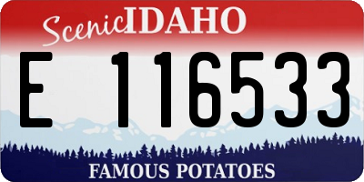 ID license plate E116533