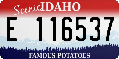 ID license plate E116537
