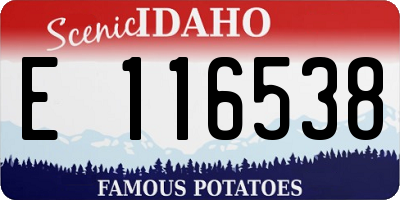 ID license plate E116538