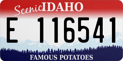 ID license plate E116541