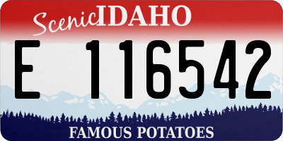 ID license plate E116542