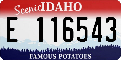 ID license plate E116543