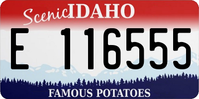ID license plate E116555