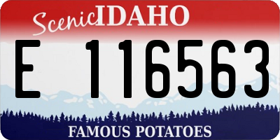 ID license plate E116563