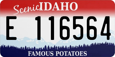 ID license plate E116564