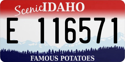 ID license plate E116571
