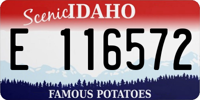 ID license plate E116572