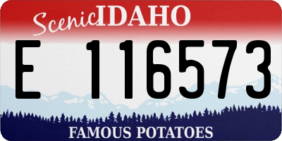 ID license plate E116573